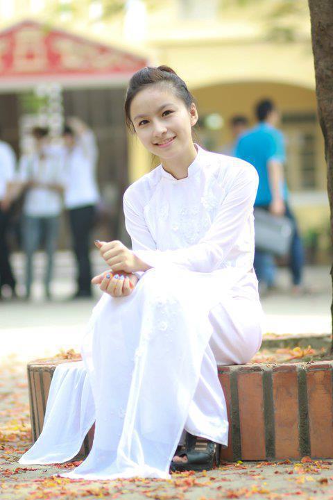 諾比特