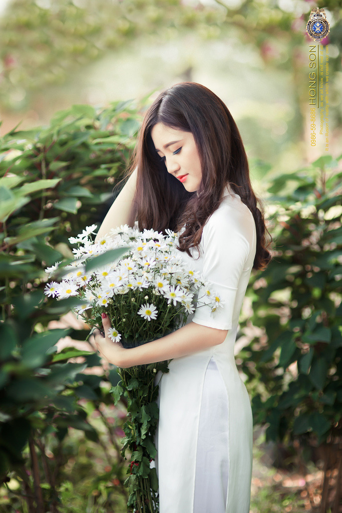 我的英雄學(xué)院第7季