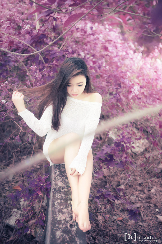 洛奇2