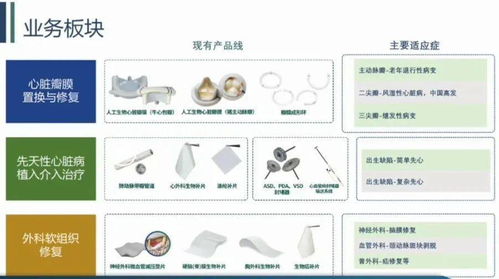 心臟的閥門壞了怎么辦 這家科創(chuàng)板企業(yè)創(chuàng)始人30年潛心“補(bǔ)心”，六大產(chǎn)品填補(bǔ)國(guó)內(nèi)空白